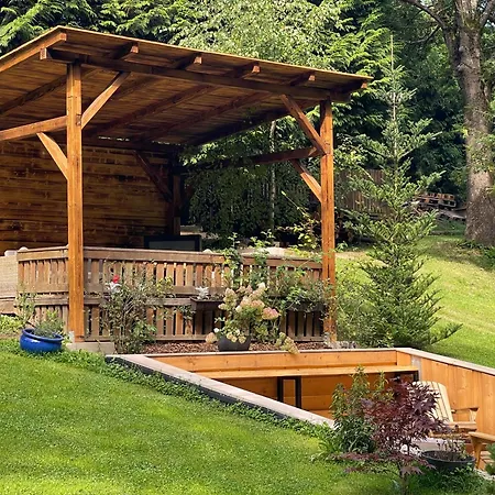 Hotel Kokorin Forest *