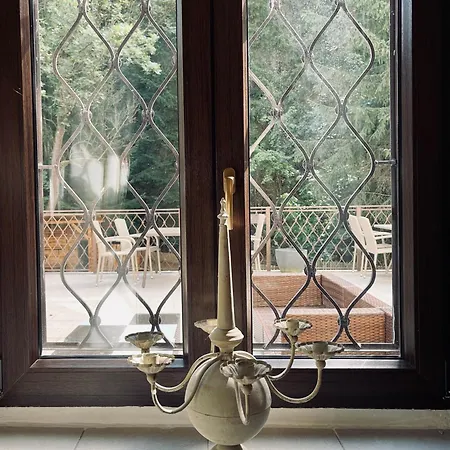 Hotel Kokorin Forest *