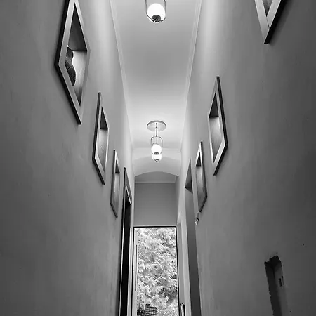 Hotel Kokorin Forest *