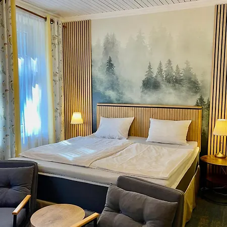 Kokorin Forest Hotel *
